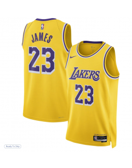 Unisex Los Angeles Lakers LeBron James Nike Gold Swingman Jersey - Icon Edition