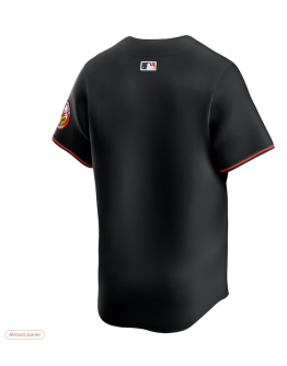 Men's Baltimore Orioles Nike Black Alternate Limited Jersey