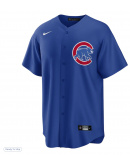 Men's Chicago Cubs Shōta Imanaga Nike Royal Alternate Japanese Characters Replica Jersey