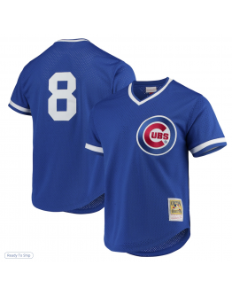 Men's Chicago Cubs Andre Dawson Mitchell & Ness Royal Cooperstown Collection Mesh Batting Practice Jersey