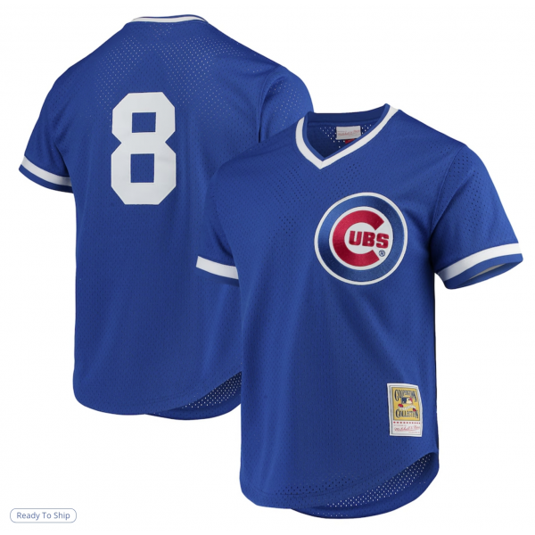 Men's Chicago Cubs Andre Dawson Mitchell & Ness Royal Cooperstown Collection Mesh Batting Practice Jersey