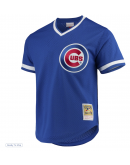 Men's Chicago Cubs Andre Dawson Mitchell & Ness Royal Cooperstown Collection Mesh Batting Practice Jersey