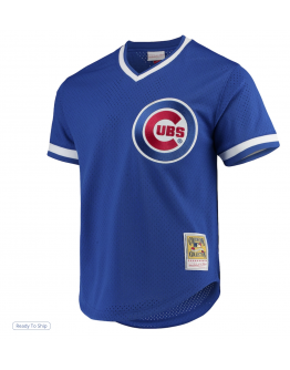 Men's Chicago Cubs Andre Dawson Mitchell & Ness Royal Cooperstown Collection Mesh Batting Practice Jersey