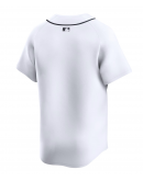 Youth Detroit Tigers Nike White Home Limited Jersey