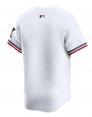 Men's Minnesota Twins Nike White Home Limited Jersey