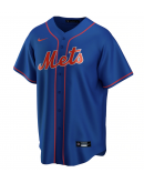 Men's New York Mets Nike Royal Alternate Replica Custom Jersey