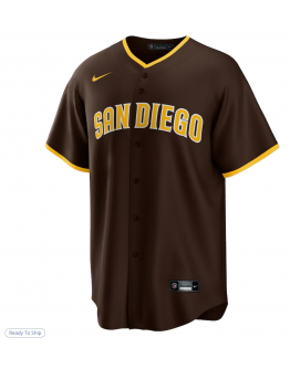 Men's San Diego Padres Fernando Tatis Jr. Nike Brown Alternate Replica Player Jersey