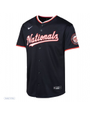 Youth Washington Nationals Nike Navy Alternate Limited Jersey