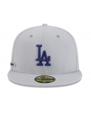 Men's Los Angeles Dodgers New Era Gray 2025 MLB Clubhouse 59FIFTY Fitted Hat