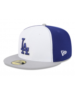 Men's Los Angeles Dodgers New Era Royal/Gray 2025 MLB Clubhouse 59FIFTY Fitted Hat