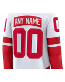 Men's Detroit Red Wings Fanatics White 2025 NHL Stadium Series Premium Custom Jersey